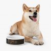 Benevolent Commanders Dog Food Bowl - Image 2