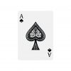 Showdown: Cogsworth & Whiskerbolt Poker Deck - Image 2